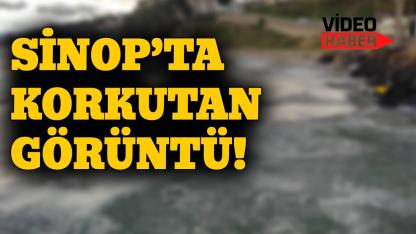 Hamsi Yolu’nda deniz yüzeyi beyaz örtüyle kaplandı