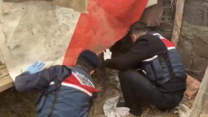Jandarma, kümese saklanan uyuşturucuyu ele geçirdi: 2 gözaltı