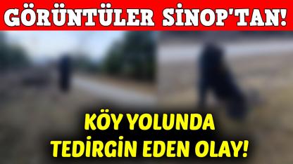 Köy yolundaki görüntüler tedirgin etti