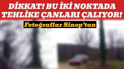 O ilçemizde korkutan manzara! Sarmaşıklar kablolara ulaştı