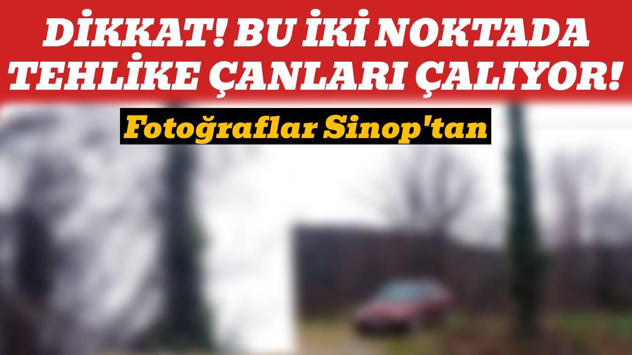 O ilçemizde korkutan manzara! Sarmaşıklar kablolara ulaştı