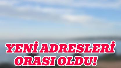 Sinop’ta balıkçılar bu caddeyi keşfetti