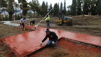 Sinop’ta mezarlıklarda lavanta dönemi