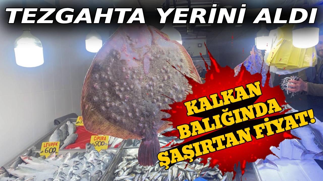 Tezgahlarda kalkan balığı ilgi odağı oldu