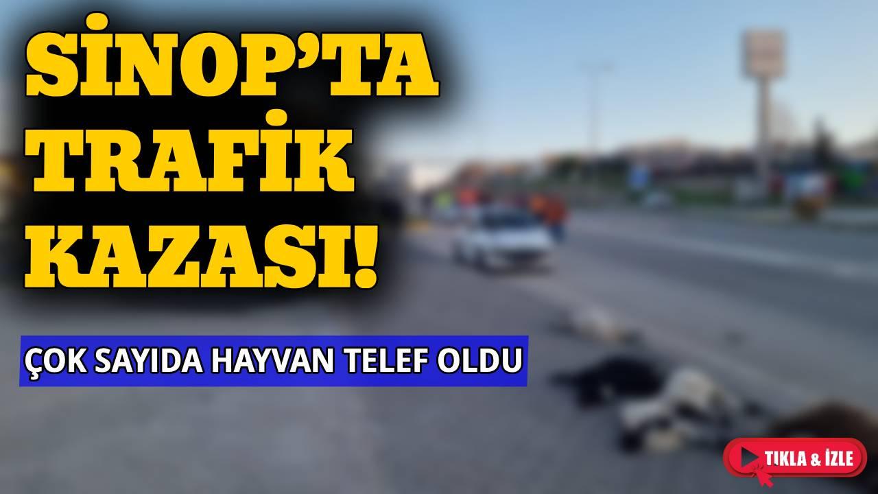 Sinop’ta otomobil sürüye çarptı