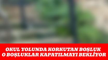 Sinop'ta okul yolunda korkutan ihmal