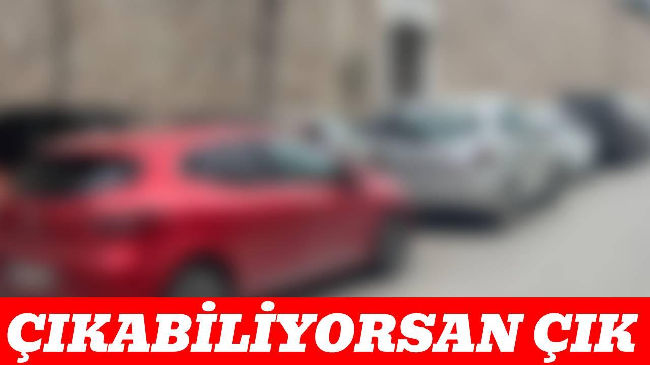 Sinop’ta 'Pes' dedirten görüntü