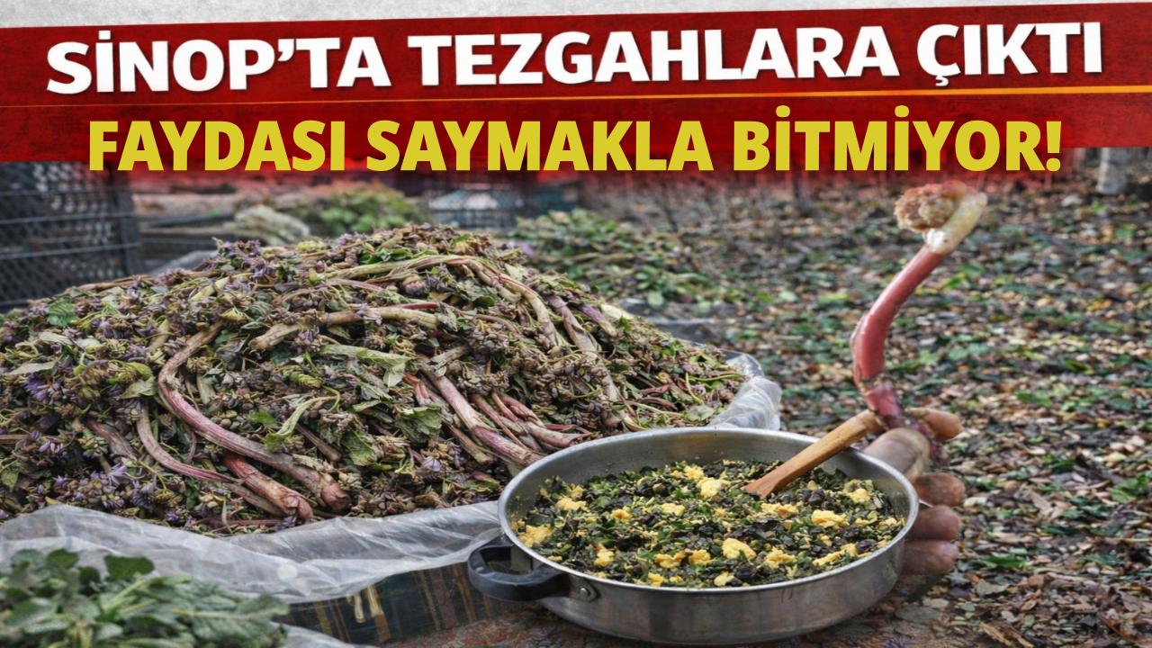 Şifa kaynağı zılbıt pazara indi