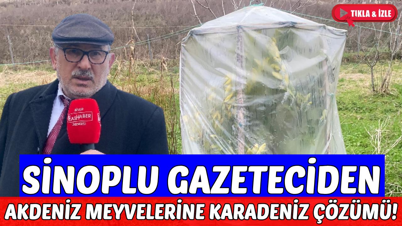 Sinoplu gazeteciden don tehlikesine karşı yaratıcı çözüm