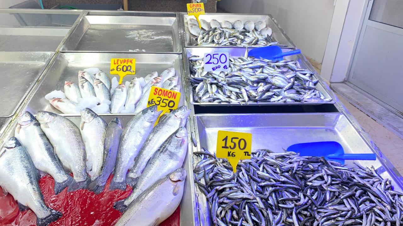 Sinop’ta balık bolluğu fiyatlara yansıdı