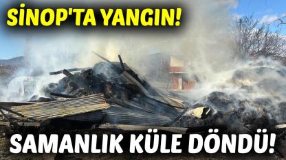 Sinop'ta çıkan yangında samanlık kullanılamaz hale geldi