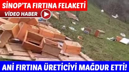 Sinop’ta fırtına arıcılığı vurdu