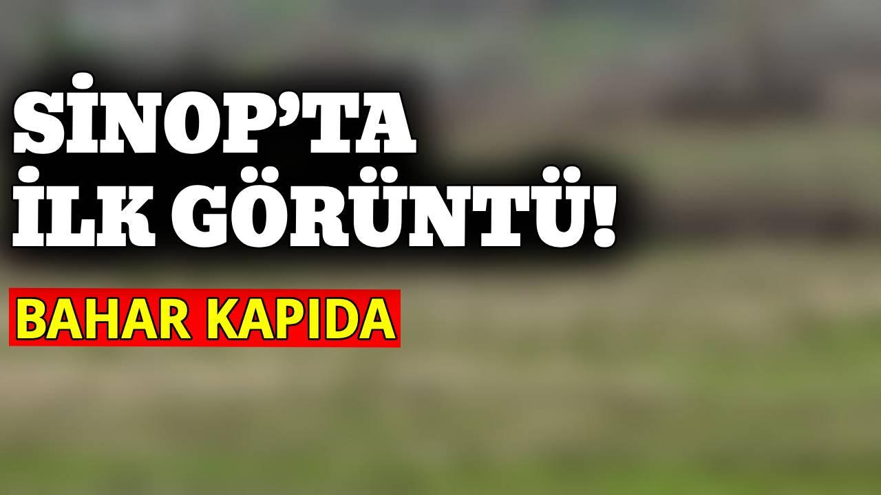 Sinop’ta görüntülendi
