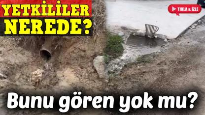 Sinop'ta halk sağlığı tehlikede!