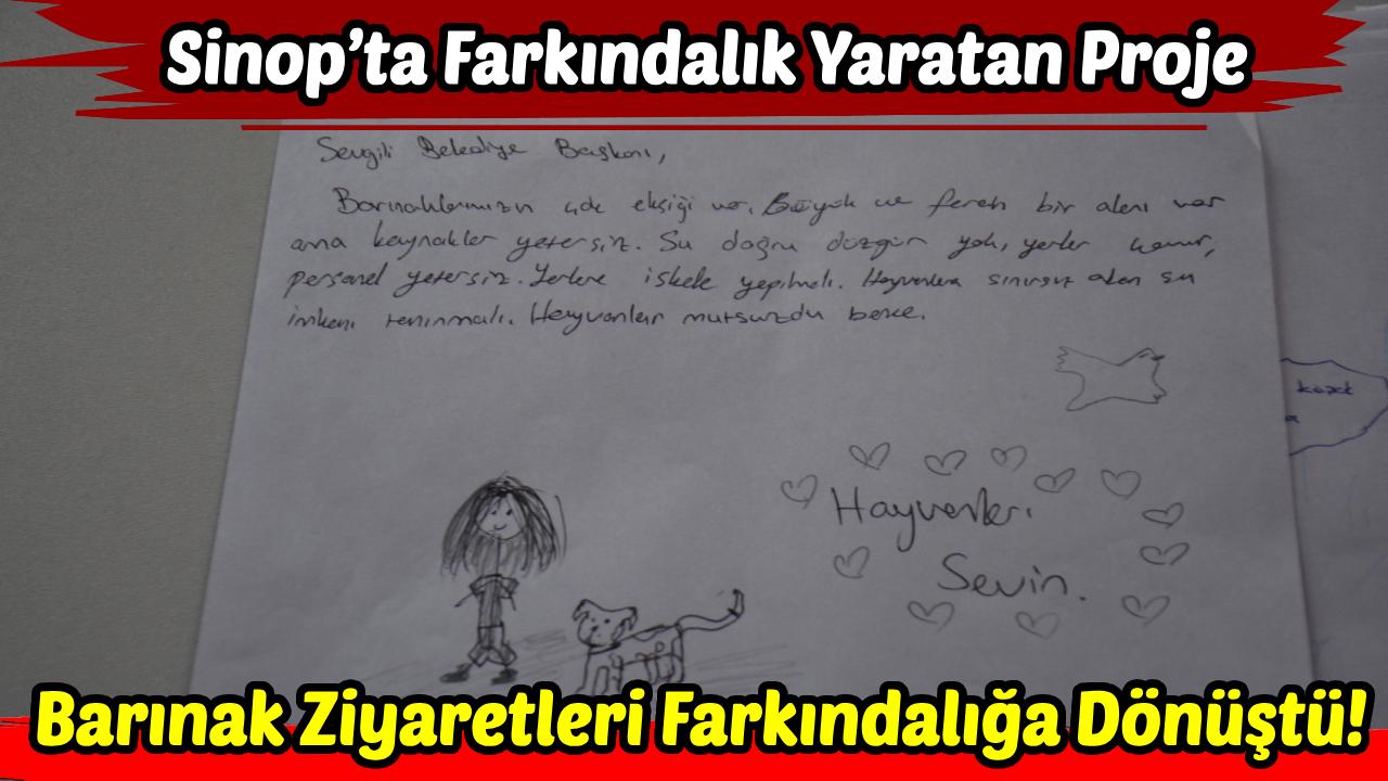 Sinop’ta hayvan haklarına duyarlı nesil yetişiyor