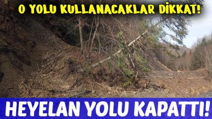 Sinop’ta heyelan nedeniyle ulaşım durdu