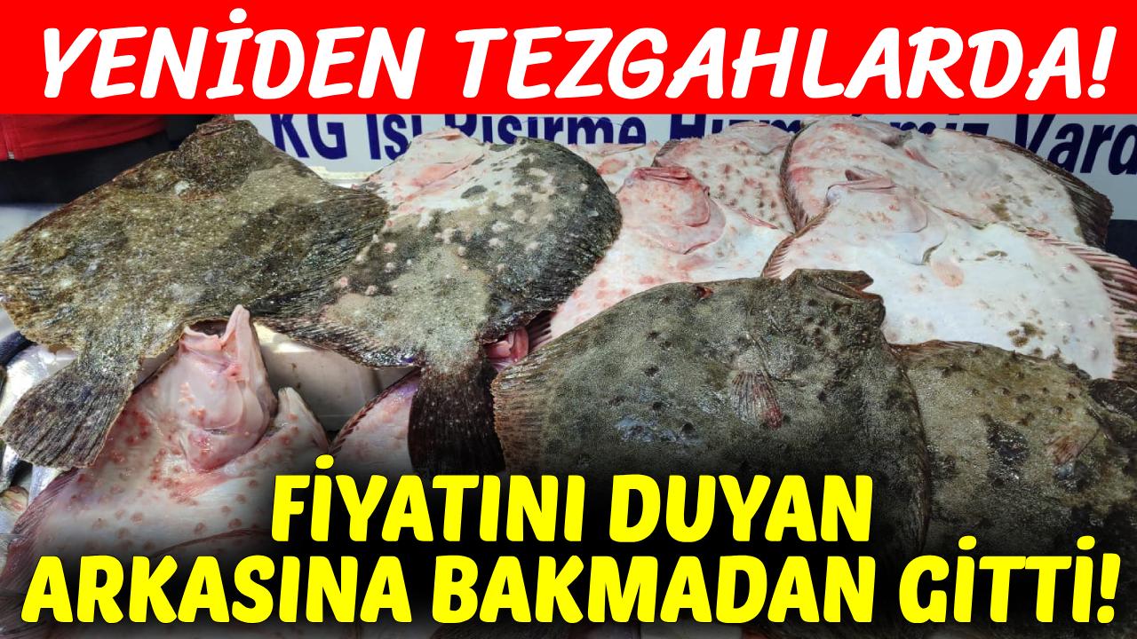 Sinop'ta kalkan balığının fiyatı dudak uçuklattı