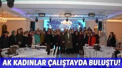 Sinop’ta “Köklerden Geleceğe Kadın Kolları Teşkilatı Çalıştayı” düzenlendi