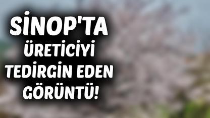 Sinop'ta korkutan güzellik