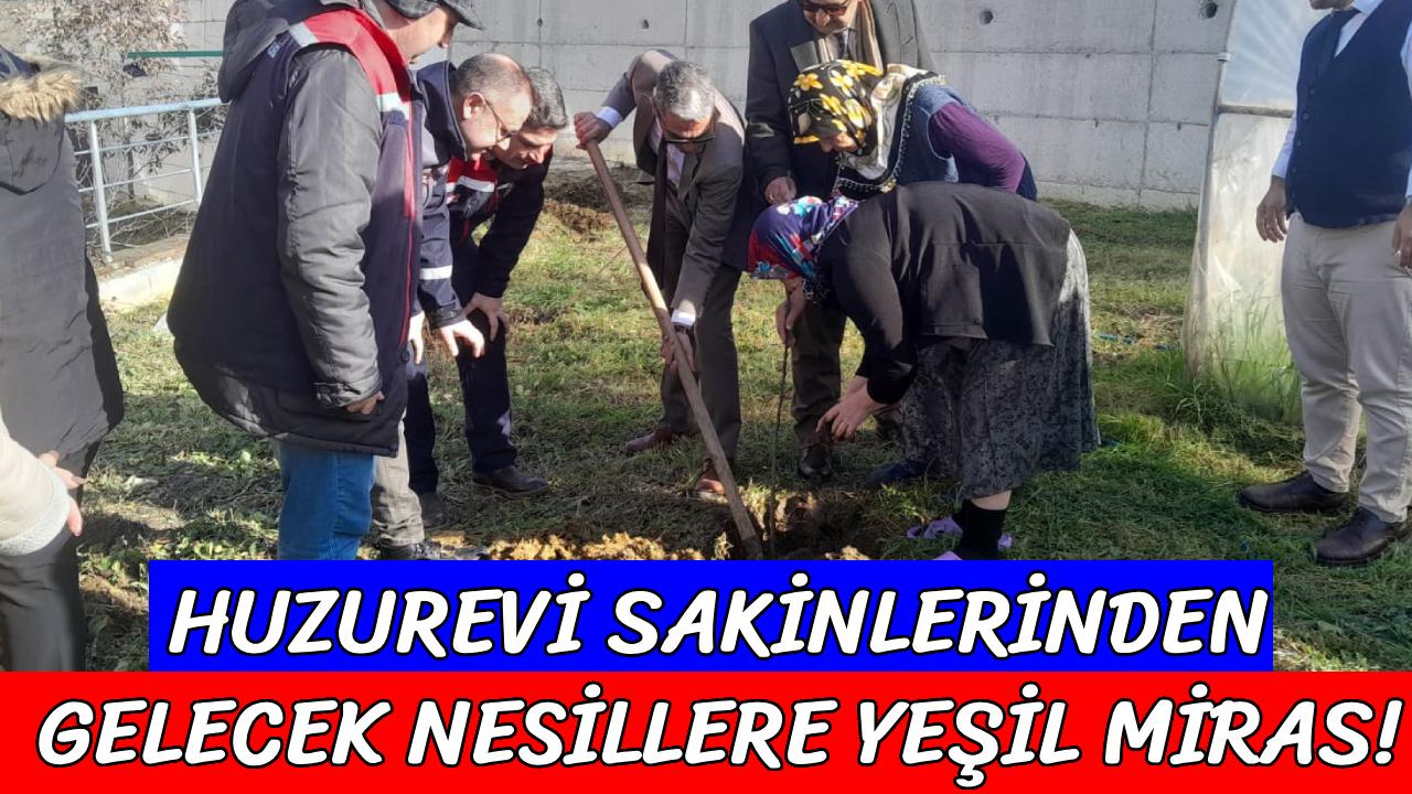 Sinop’ta kuşaklar arası gönül köprüsü fidanlarla kuruldu
