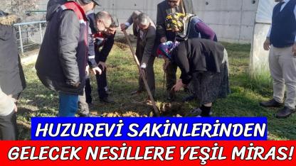 Sinop’ta kuşaklar arası gönül köprüsü fidanlarla kuruldu