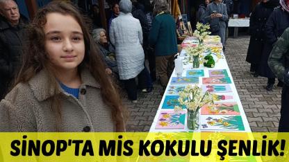 Sinop'ta Nergis Şenliği düzenlendi