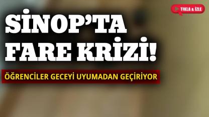 Sinop’ta öğrenci yurdu fare sorunu ile gündemde