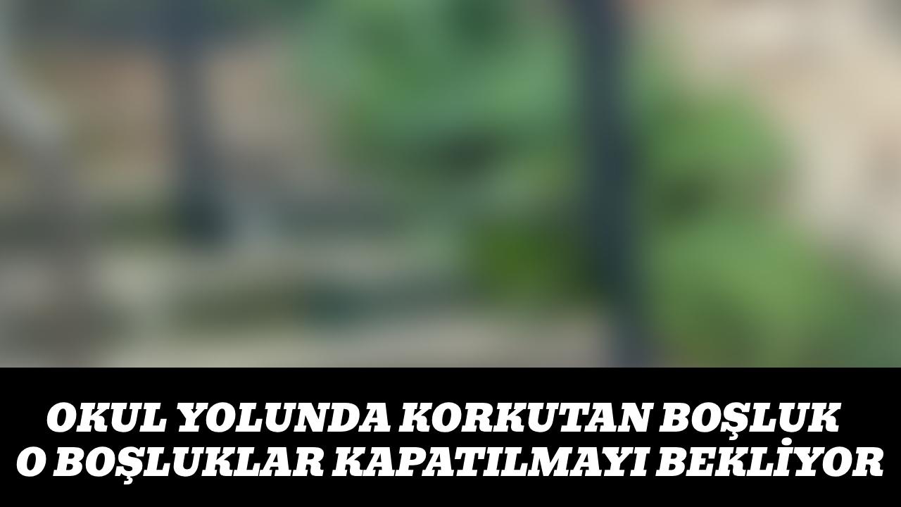Sinop'ta okul yolunda korkutan ihmal