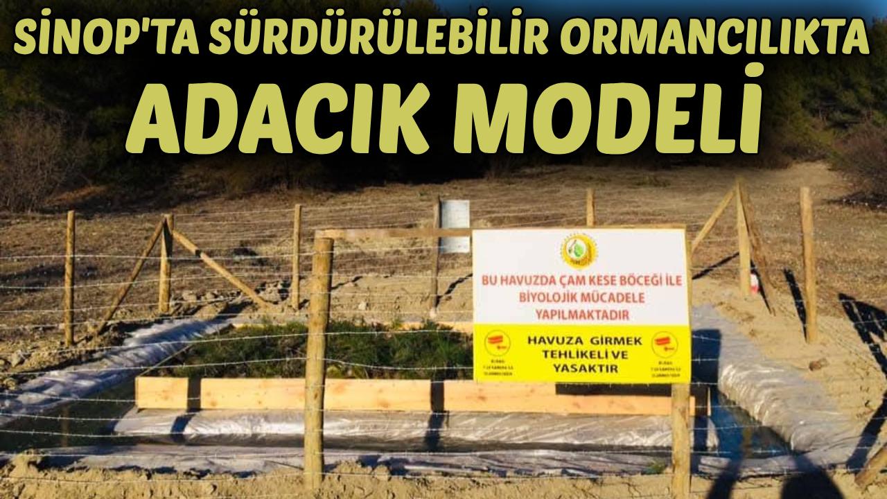 Sinop’ta orman ekosistemi doğa dostu uygulamalarla korunuyor