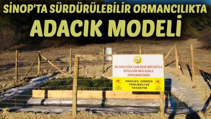 Sinop’ta orman ekosistemi doğa dostu uygulamalarla korunuyor