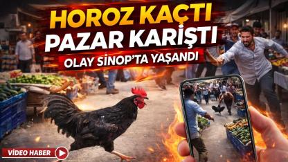 Sinop'ta pazar yerinde nefes kesen horoz kovalamacası