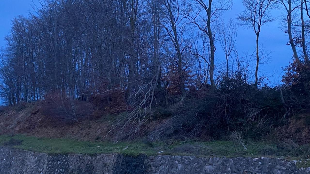 Sinop’ta rüzgar olumsuz etkiledi