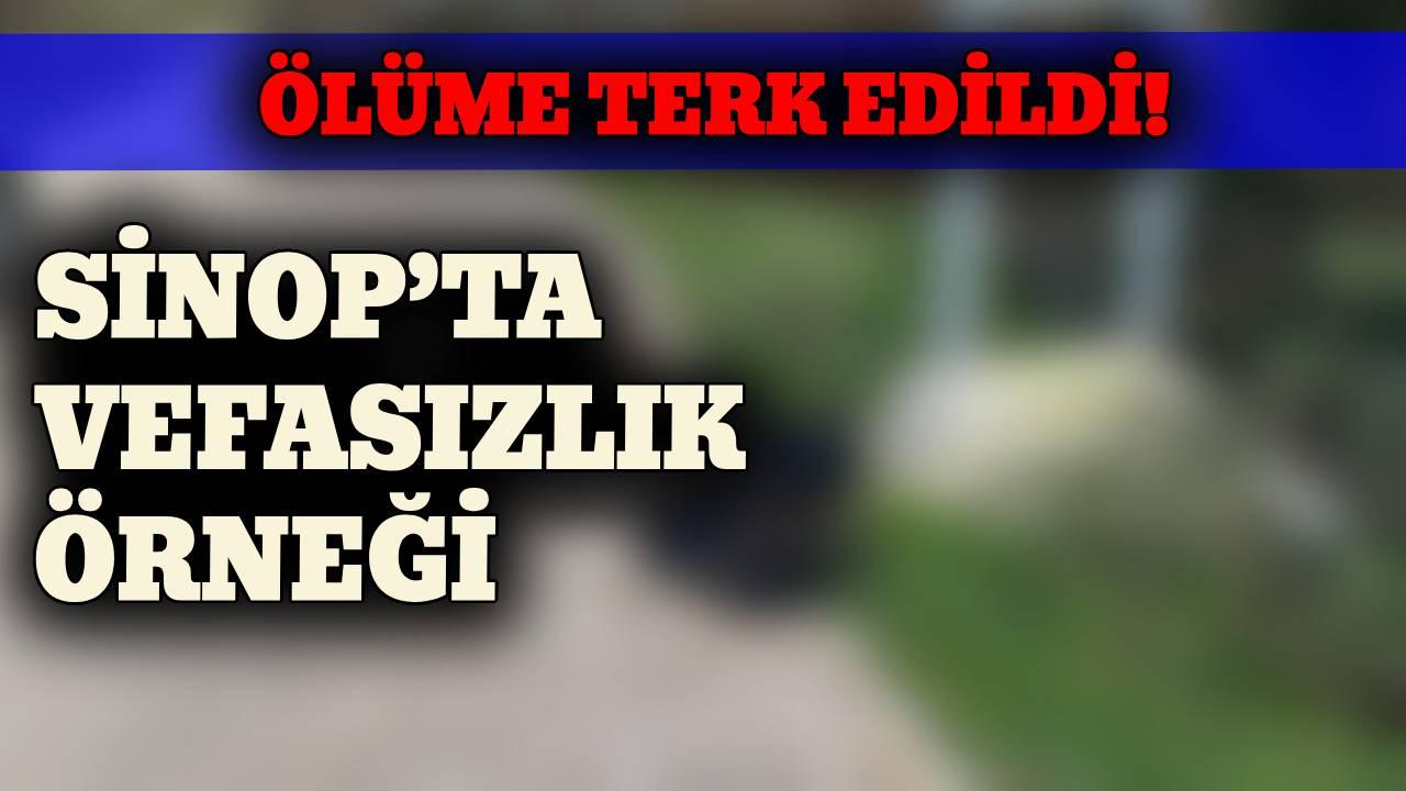 Sinop’ta sadakat örneğine vefa gösterilmedi