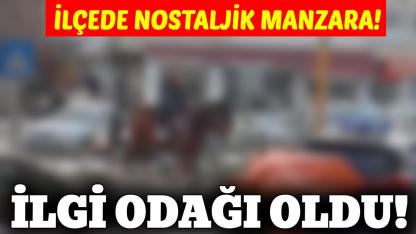 Sinop'ta şaşkına çeviren olay