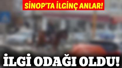Sinop'ta şaşkına çeviren olay