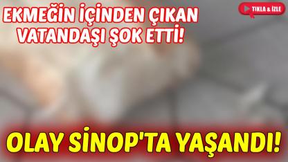 Sinop'ta vatandaş aldığı ekmeği bölünce şok yaşadı