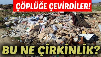 Sinop'ta yol kenarına atılan çöpler tepki çekti