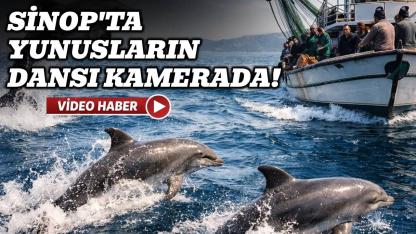 Sinop’ta yunusların balıkçı teknesiyle dansı kamerada