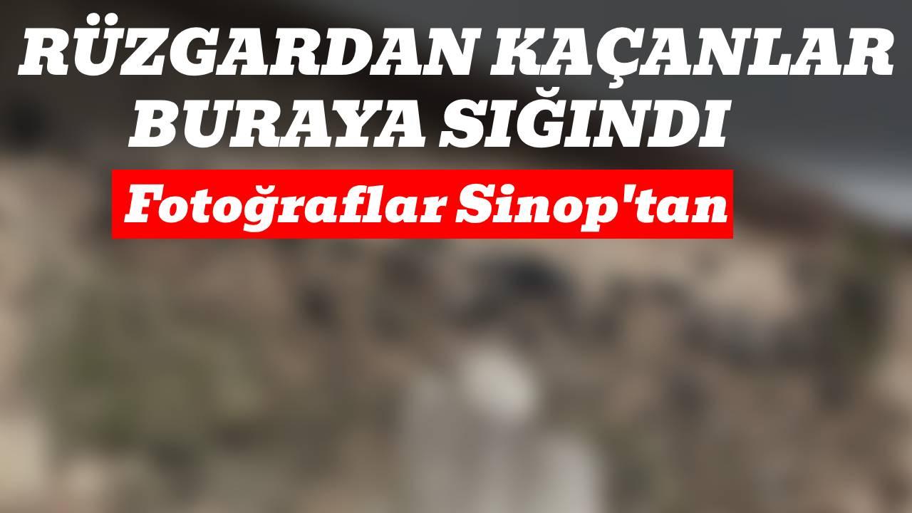 Tarihi kapıda kanatlı safı