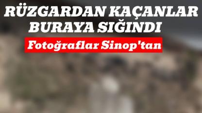 Tarihi kapıda kanatlı safı