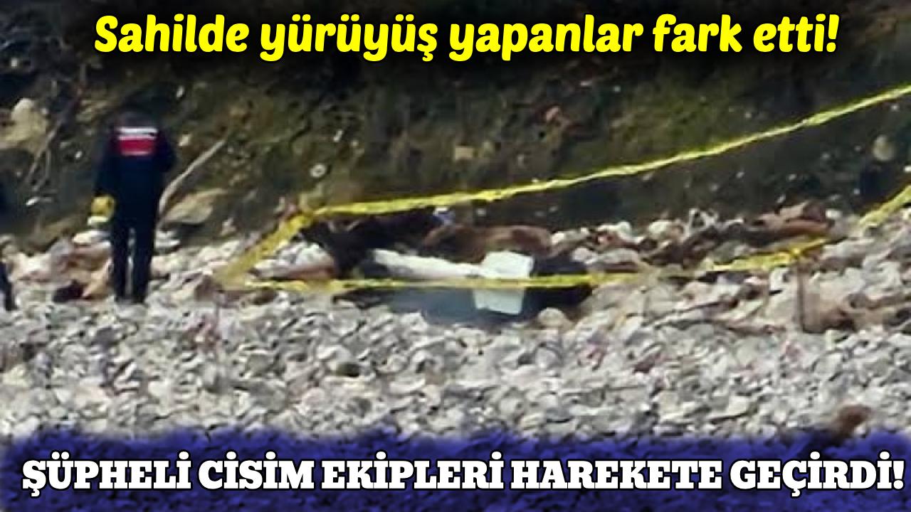 Türkeli sahilinde şüpheli cisim paniği