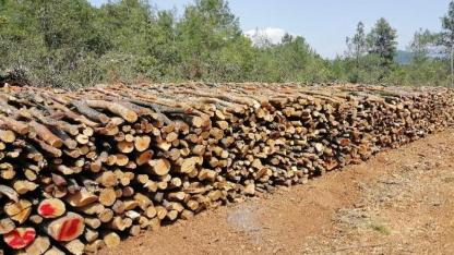 YAKACAK ODUN İSTİFLEME İŞİ