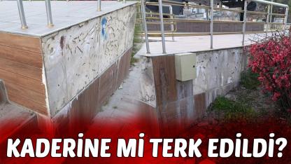 Bakımsız hali tepki çekti