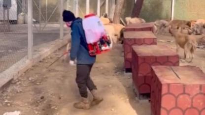 Boyabat'ta can dostları için sağlık seferberliği