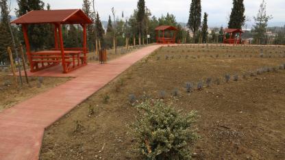 Boyabat’ta mezarlığa lavanta dokunuşu