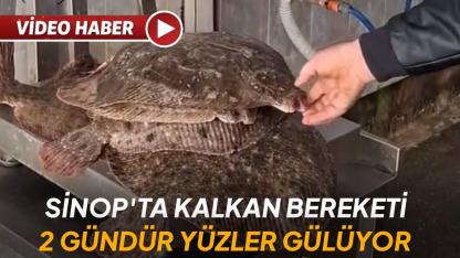 Denizden kalkan çıktı, tezgahlar şenlendi