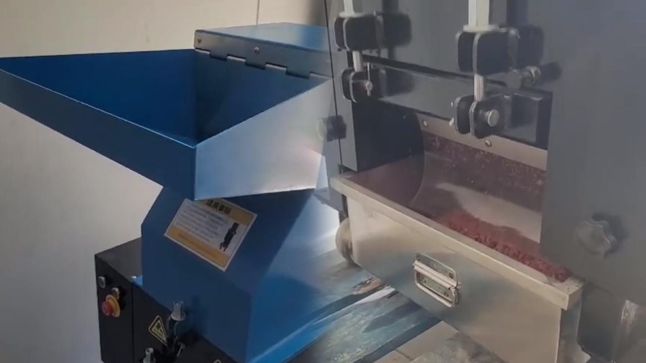 Gerze Belediyesi'nden barınaktaki can dostlara teknolojik destek