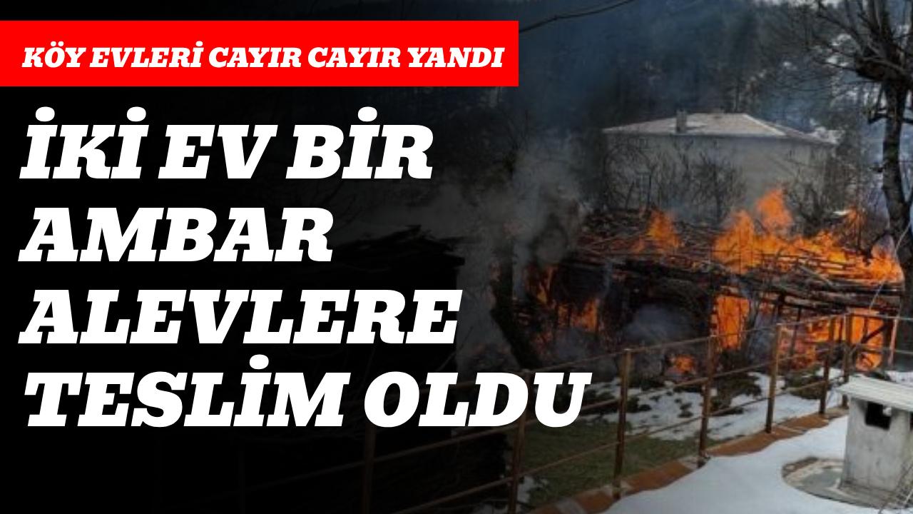 Kastamonu'da 2 ev ve bir ambar alev alev yandı