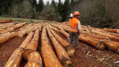 MESAHA BOYLAMA YAPILMASI DANIŞMANLIK HİZMETİ ALINACAKTIR