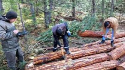 MESAHA DANIŞMANLIK HİZMET ALIMI İŞİ